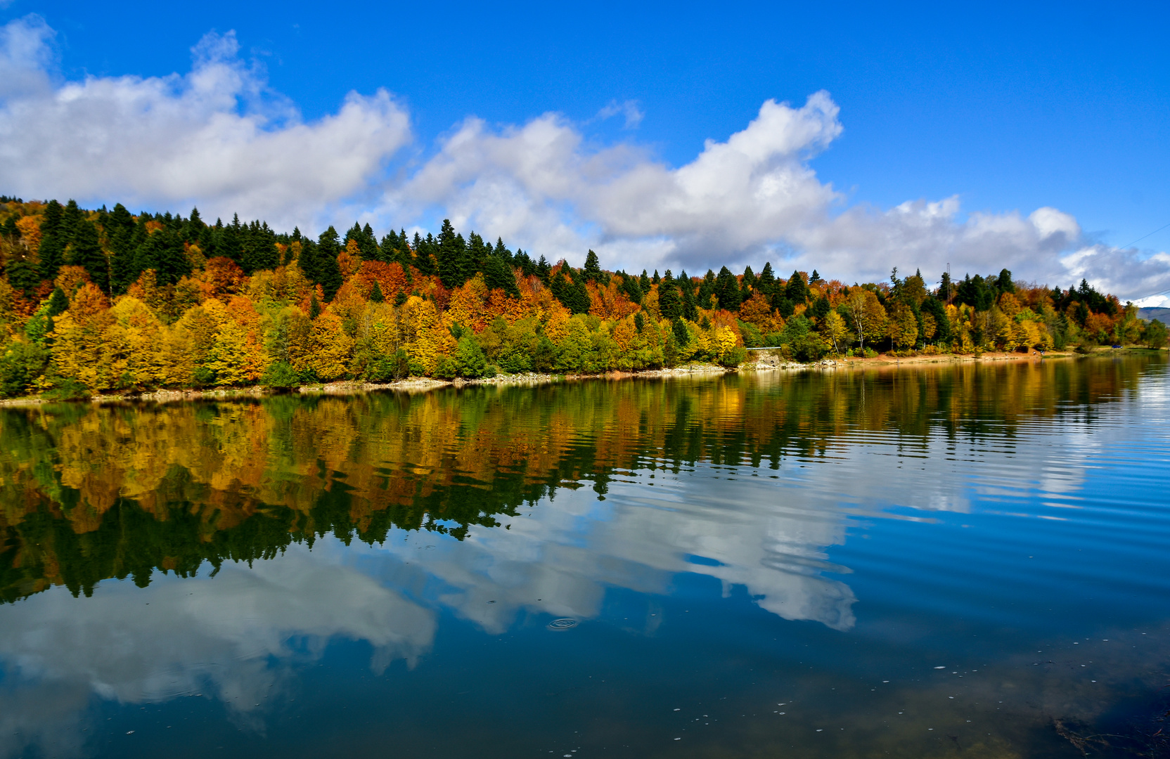 Herbstmärchen, das ist Georgia