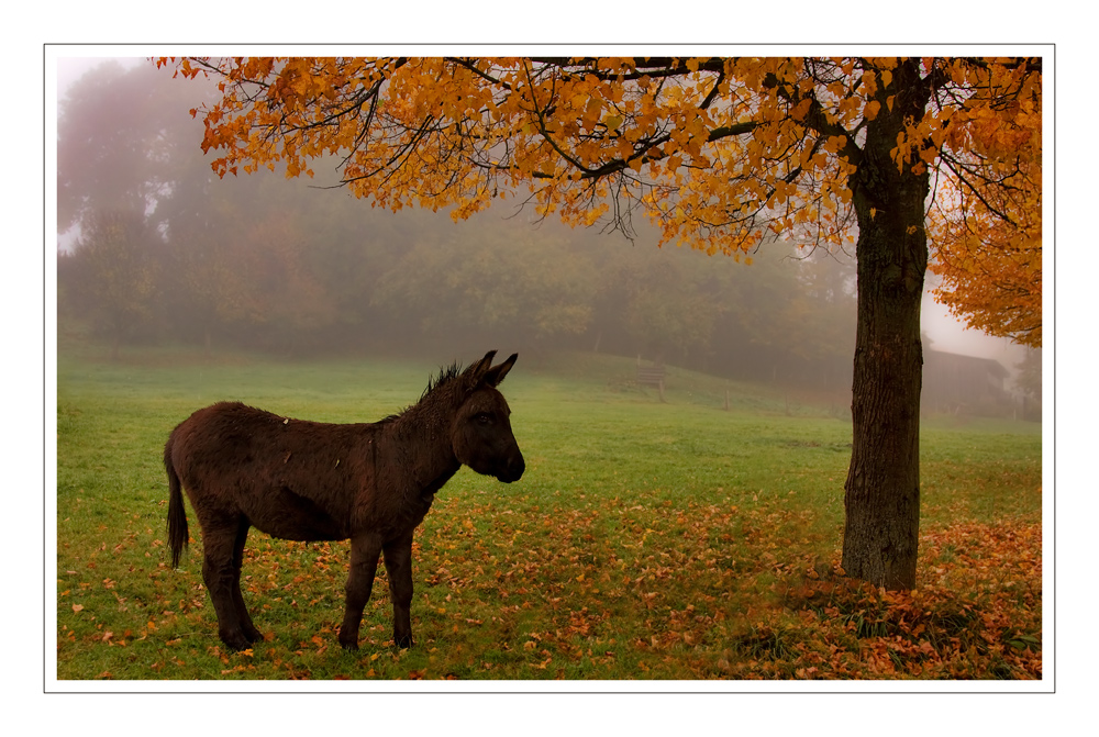 Herbstmärchen