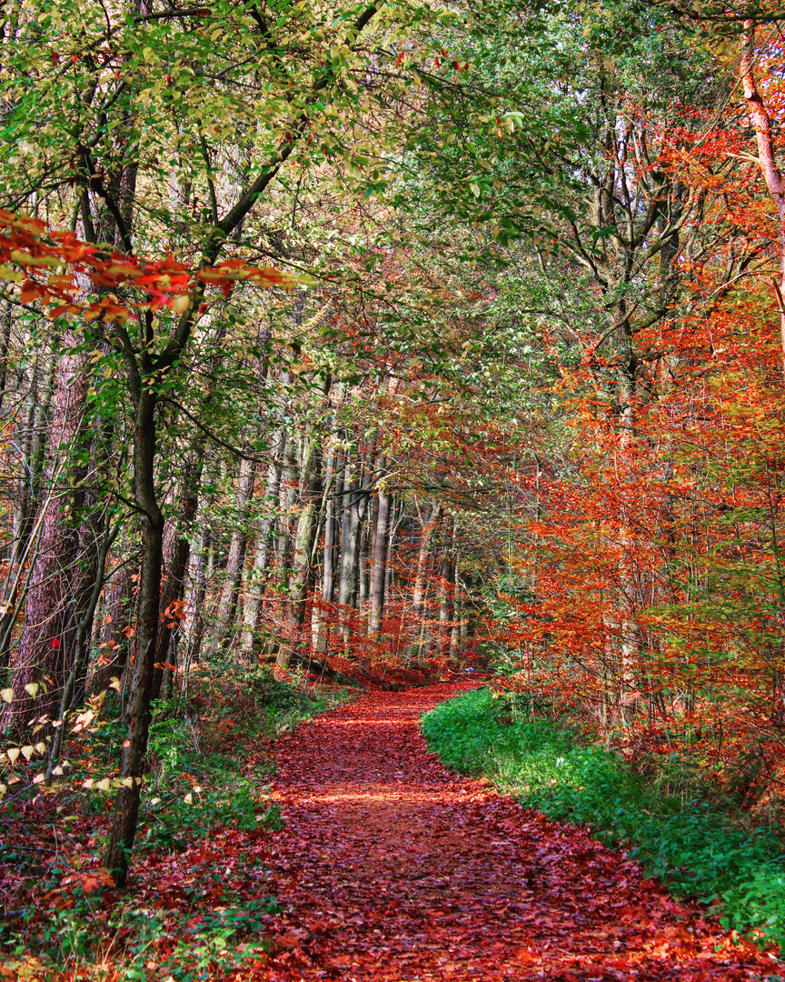 Herbstmagie