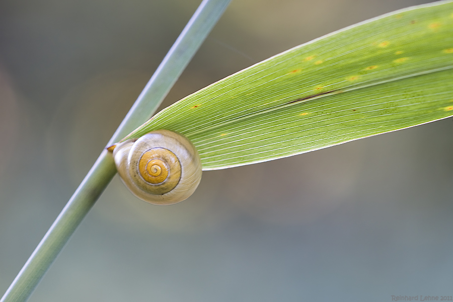 Herbstmalerei 1