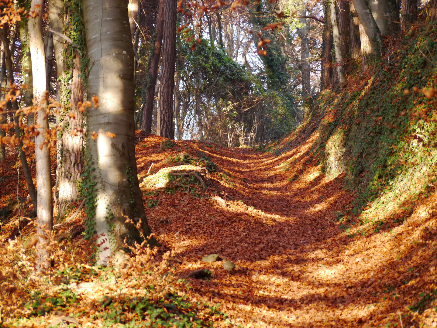 Herbstmalerei