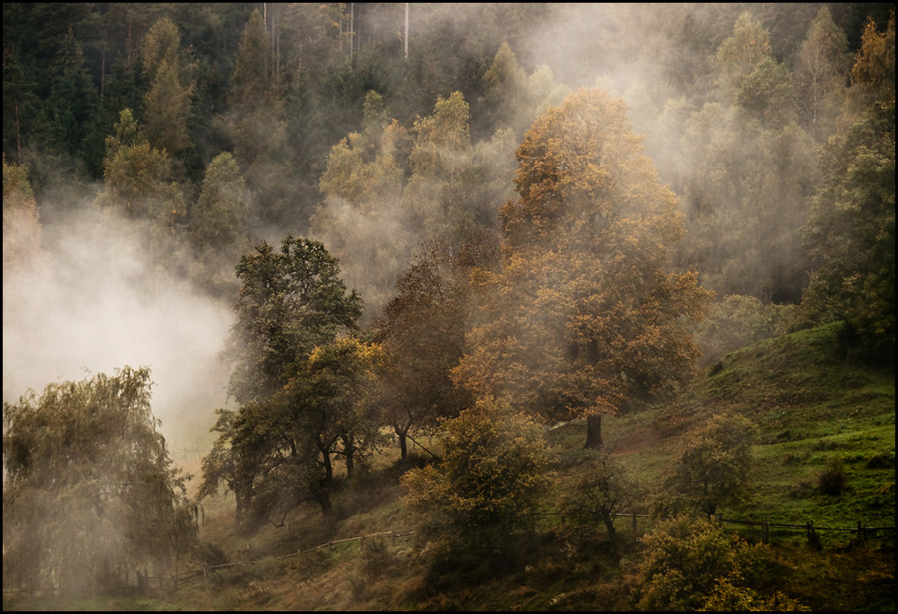 Herbstmalerei