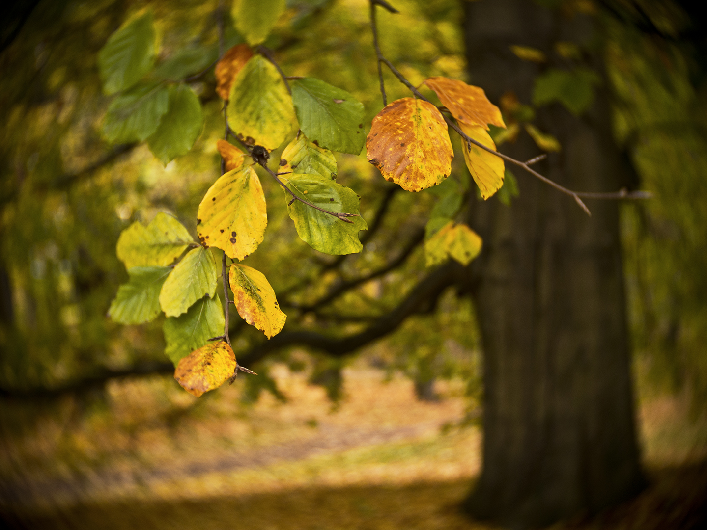 Herbstmalerei