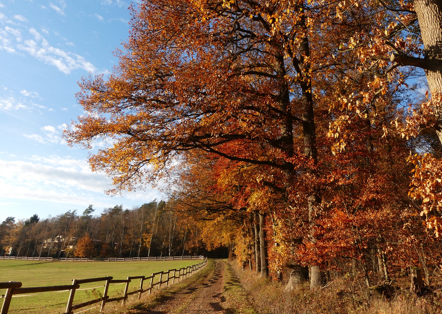 Herbstmalerei