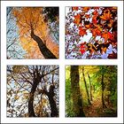 Herbstmalerei Collage