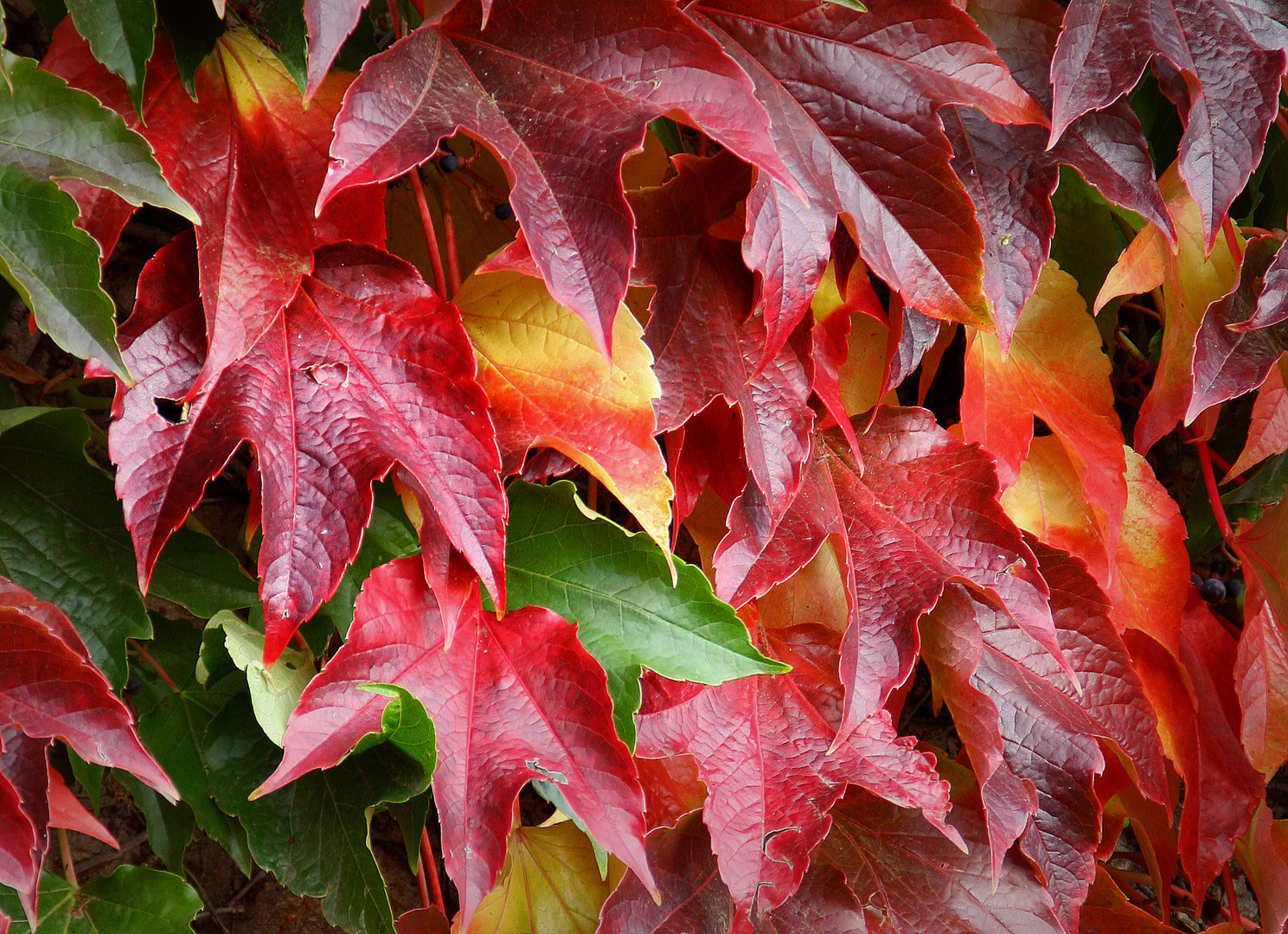 Herbstmalerei...