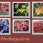 Herbstmalereien