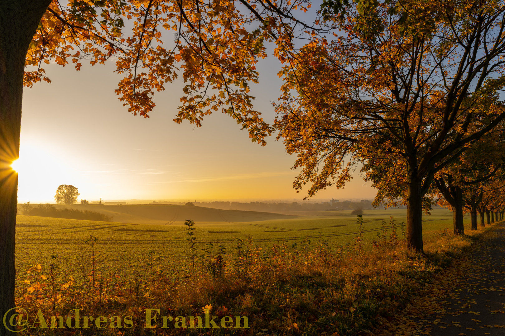 Herbstmalerie