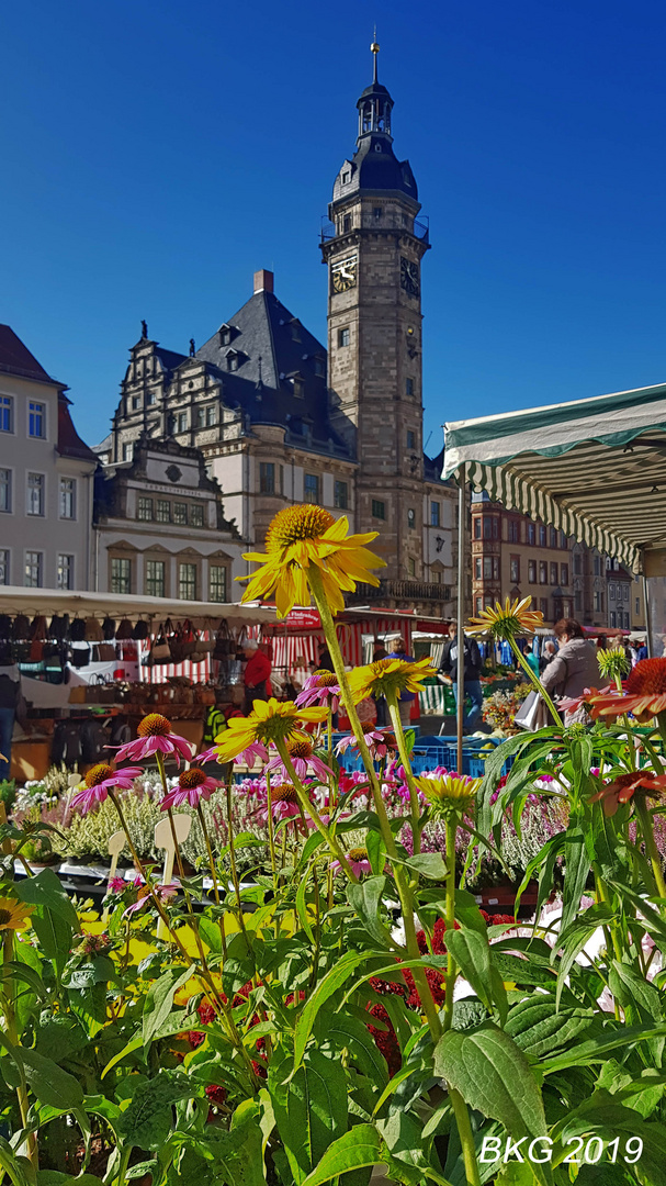 Herbstmarkt vor dem Historischen Rathaus Altenburg