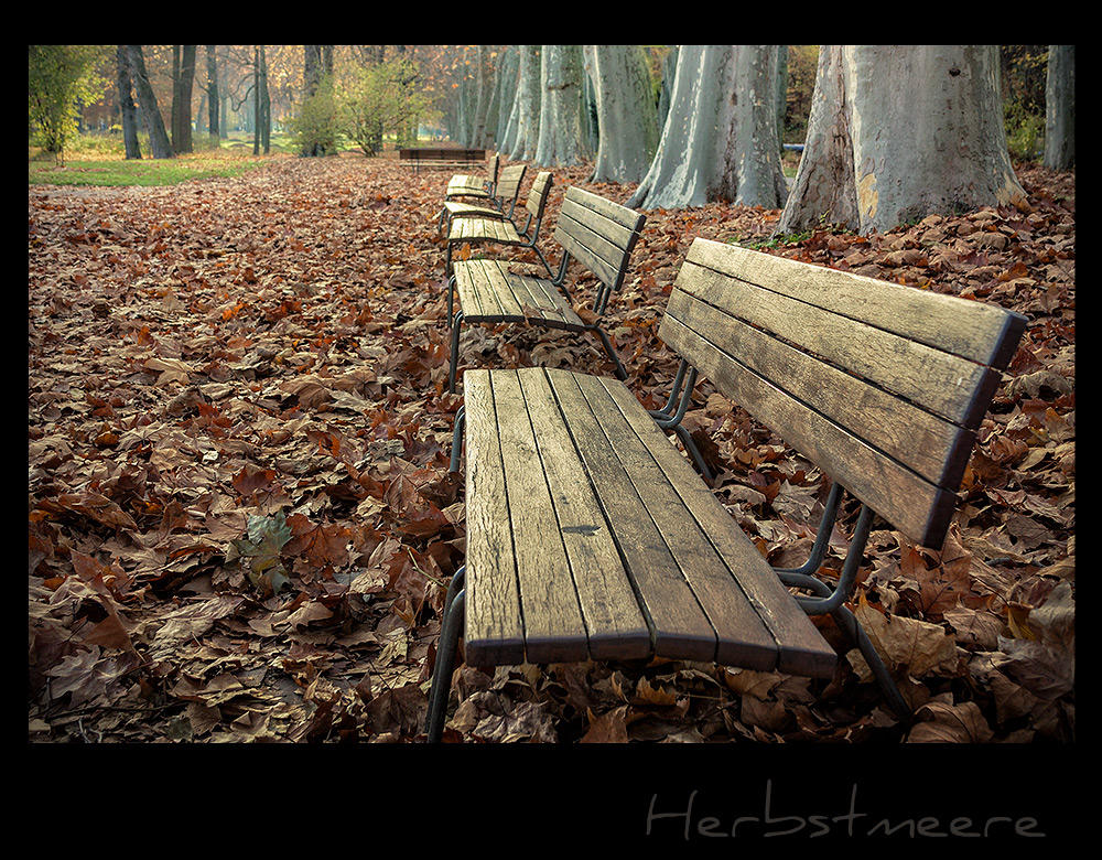 Herbstmeere