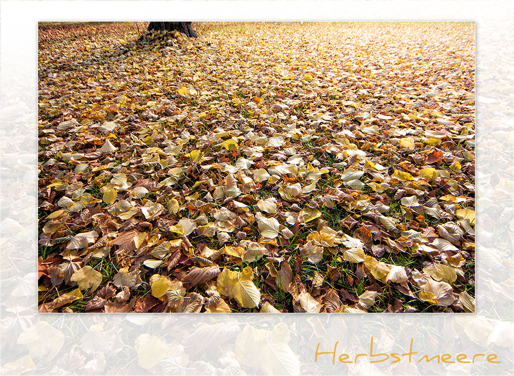 Herbstmeere II