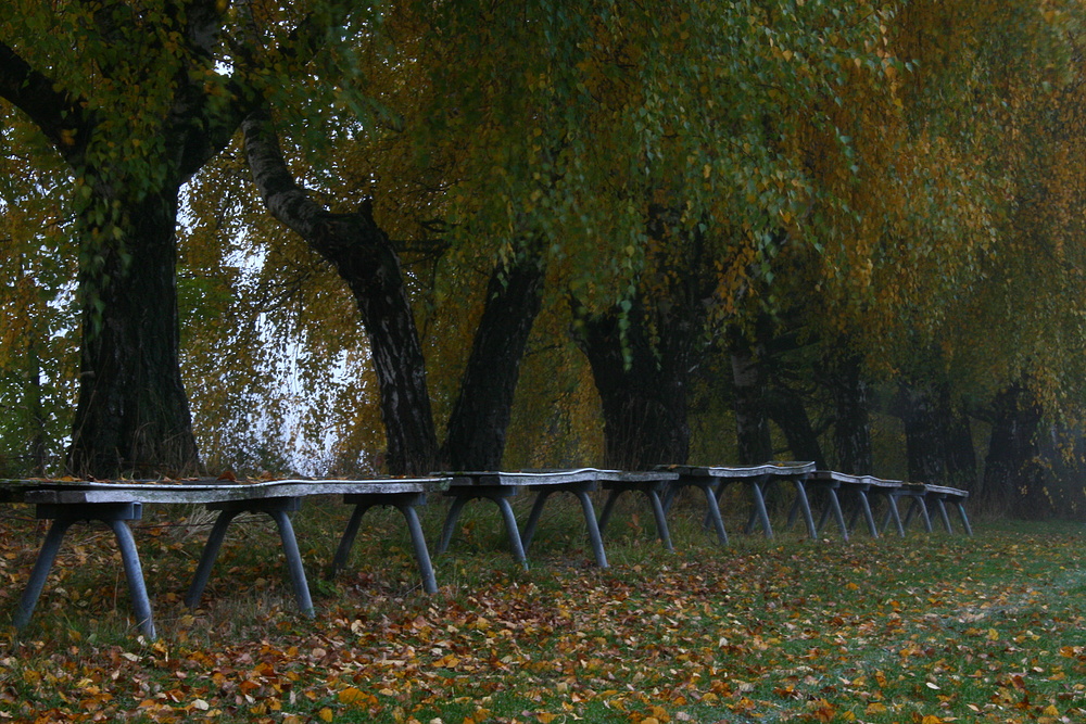 Herbstmeister- Tribüne