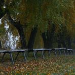 Herbstmeister- Tribüne