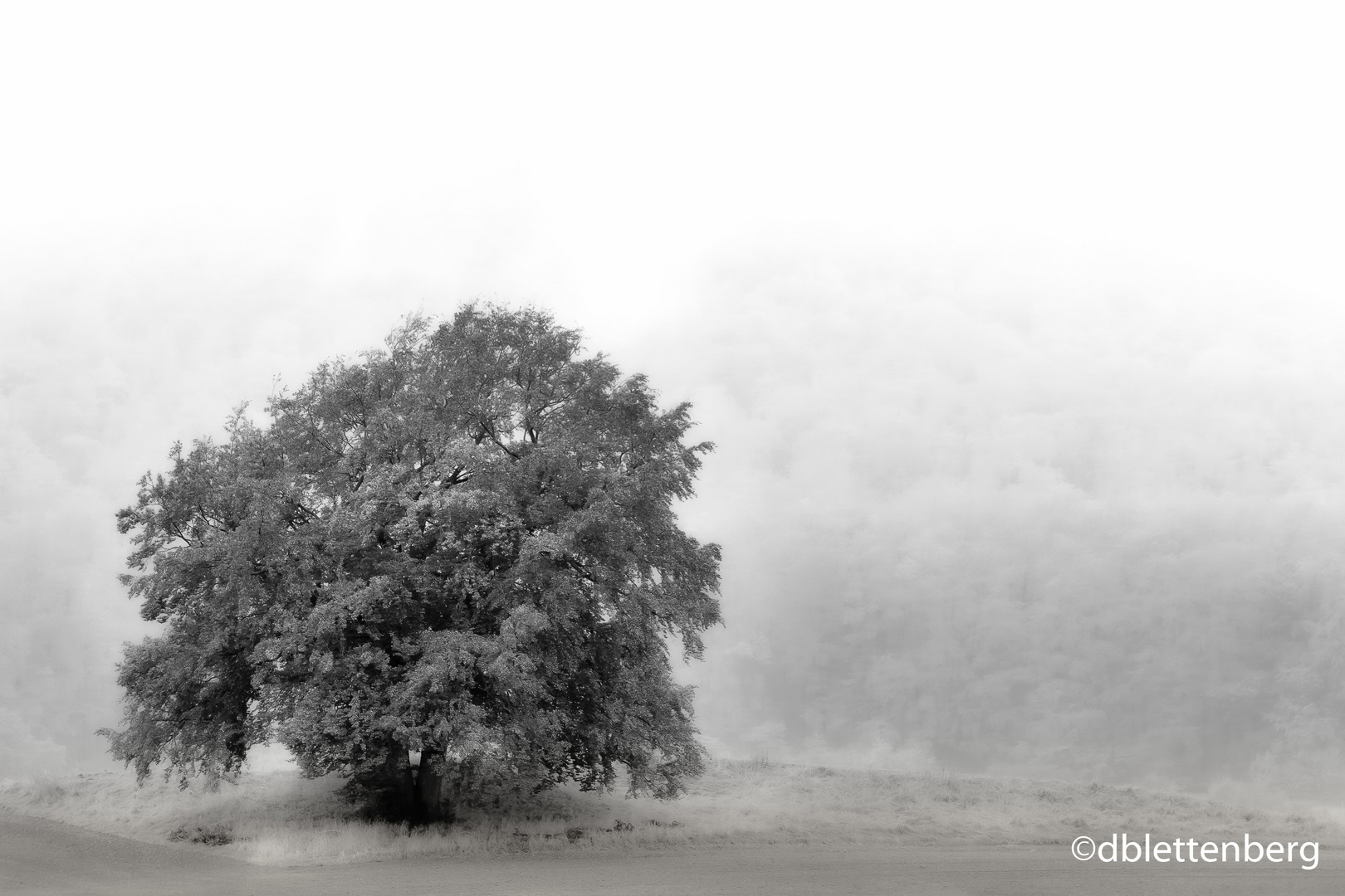 Herbstmelancholie