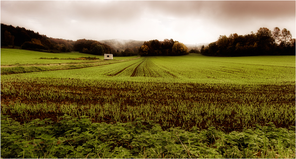 Herbstmelancholie