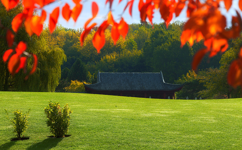 Herbstmelancholie