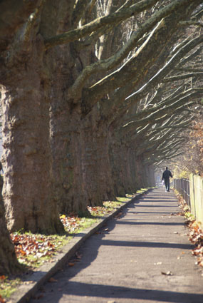 Herbstmelancholie