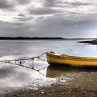 Herbstmelancholie auf Rügen