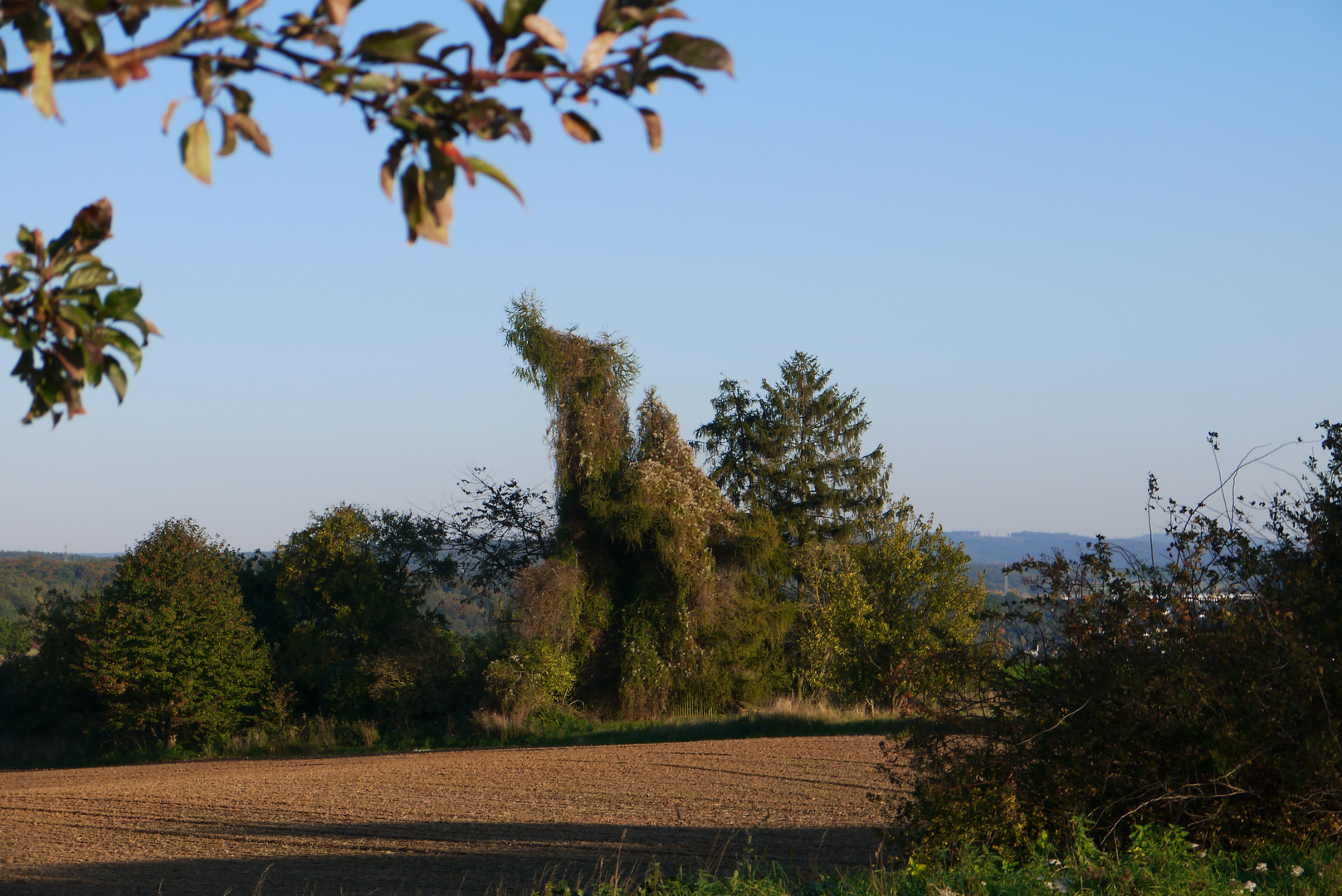 Herbstmelancholie bevor das Dunkel hereinbrach