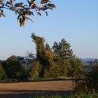 Herbstmelancholie bevor das Dunkel hereinbrach