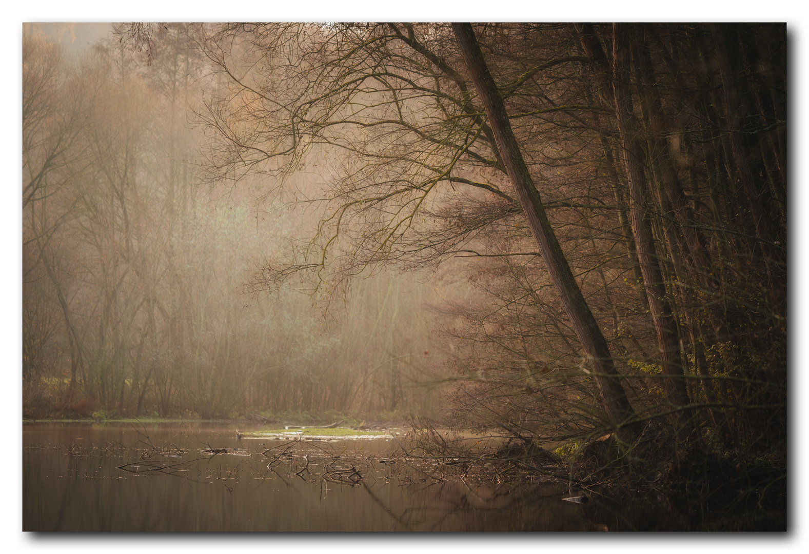 Herbstmelancholie