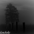 Herbstmelancholie