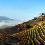 herbstmelodie Durbach Weinberge