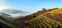 herbstmelodie Durbach Weinberge