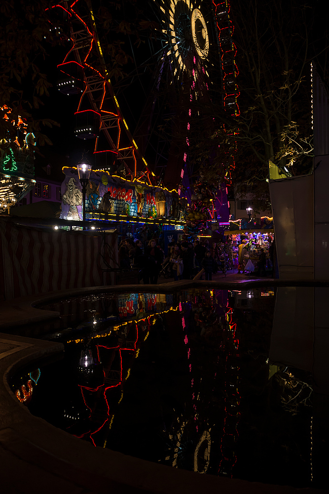 Herbstmesse in Basel 2012-13