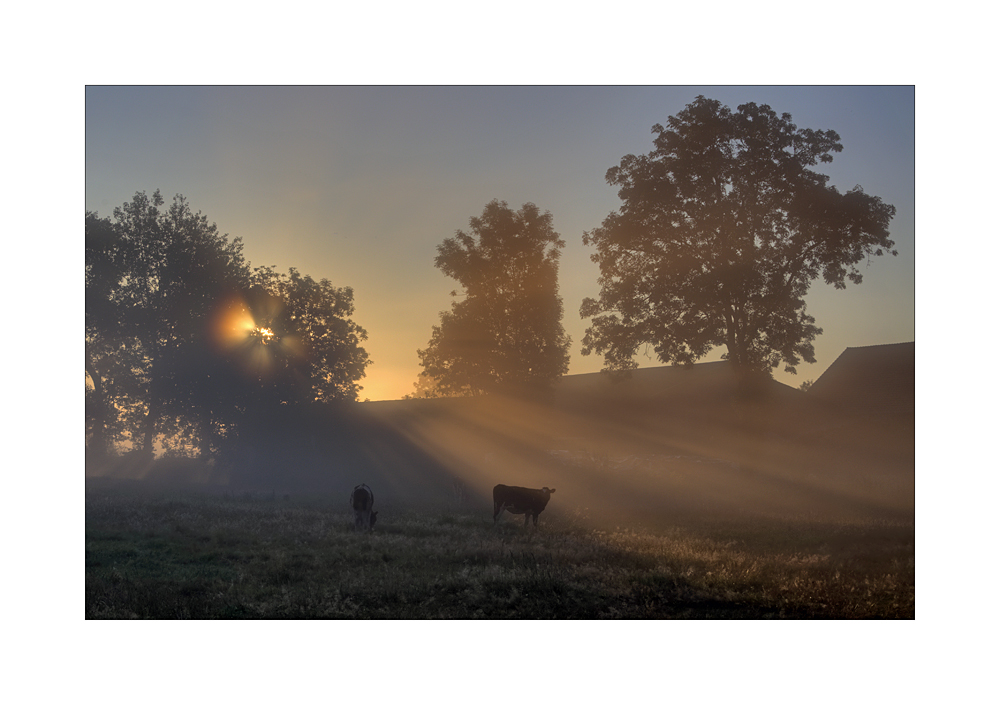 *Herbstmilch*