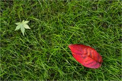 Herbstminimalismus