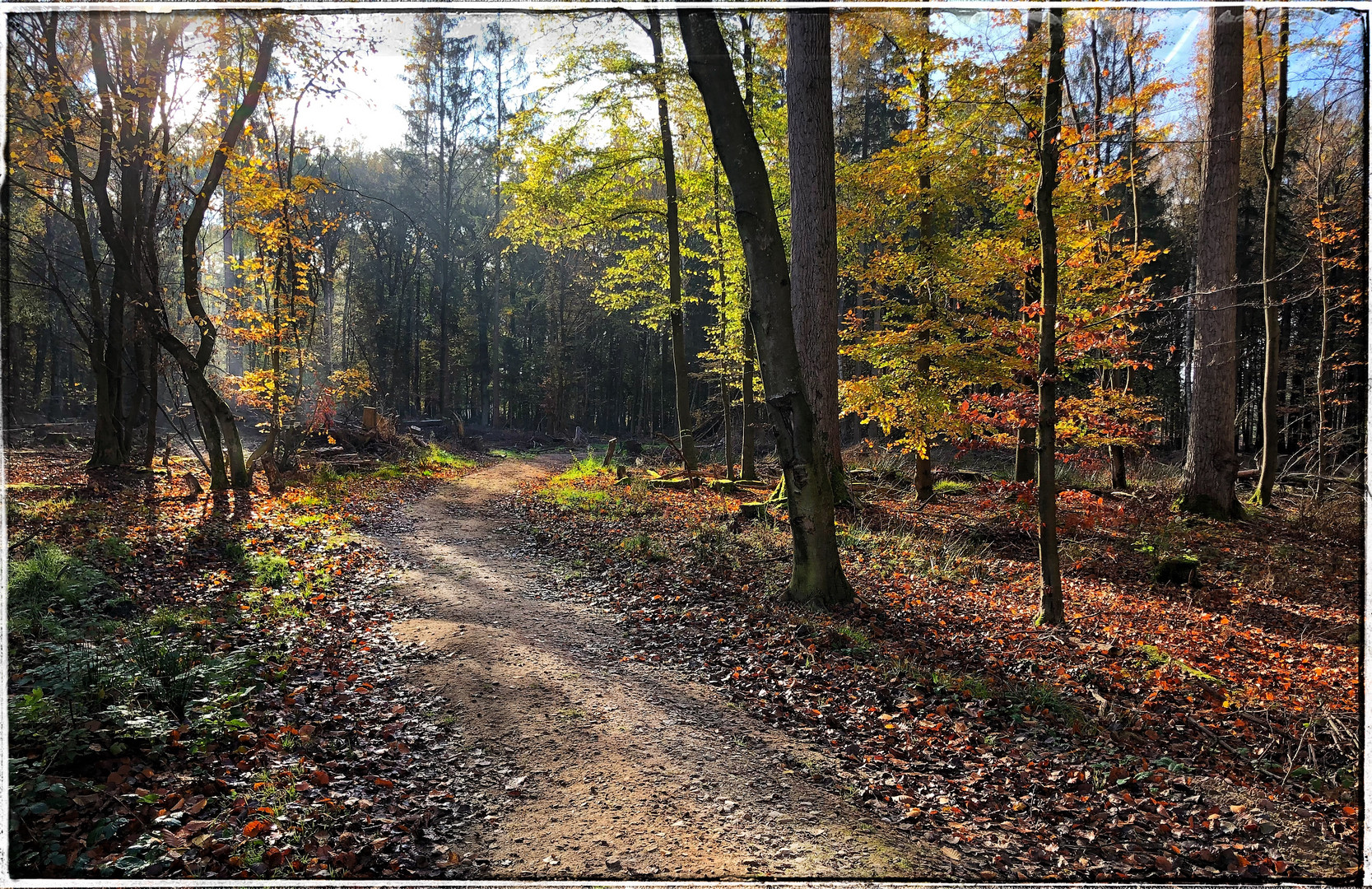 Herbstmittag hat lange Schatten