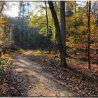 Herbstmittag hat lange Schatten