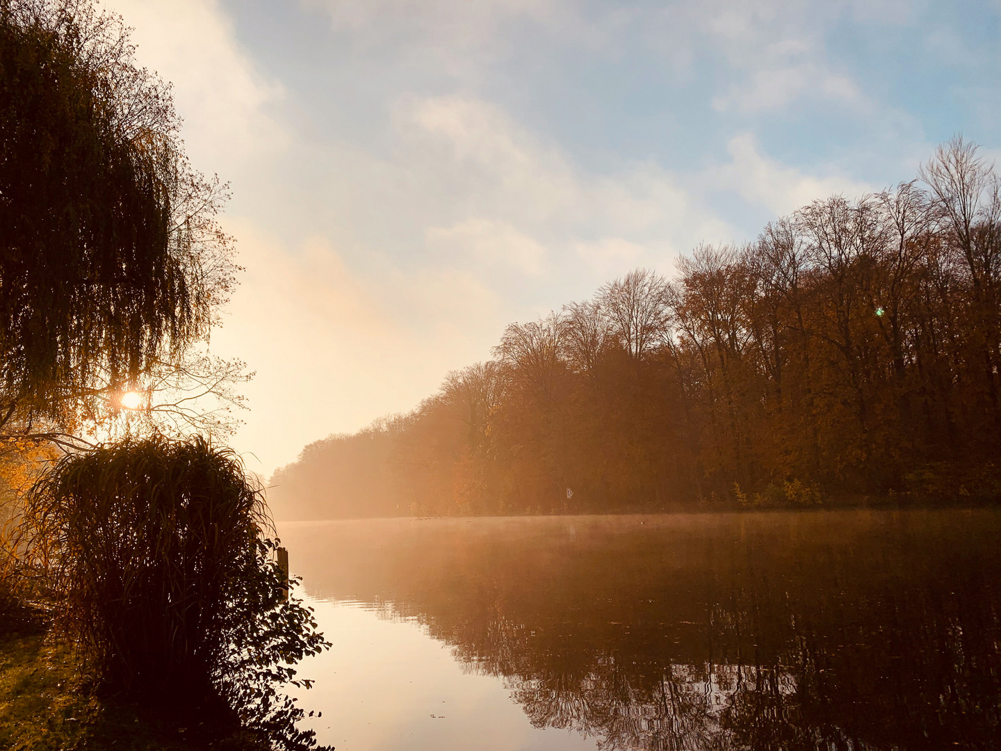 Herbstmogen am Kanal