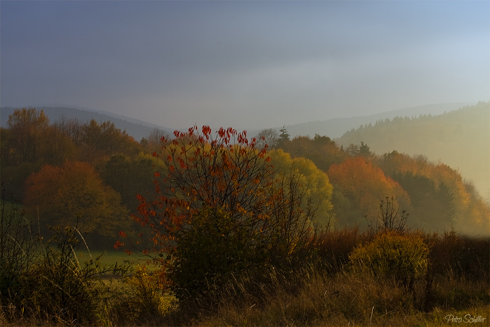 Herbstmomente