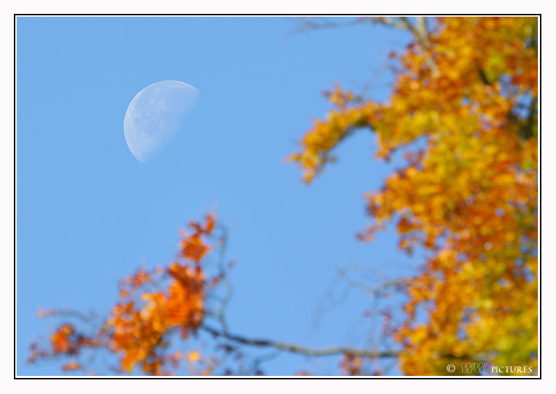 Herbstmond