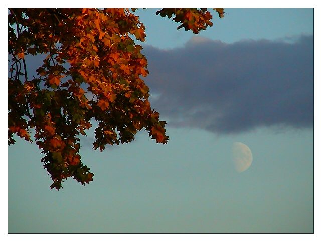 Herbstmond