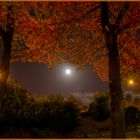 Herbstmond