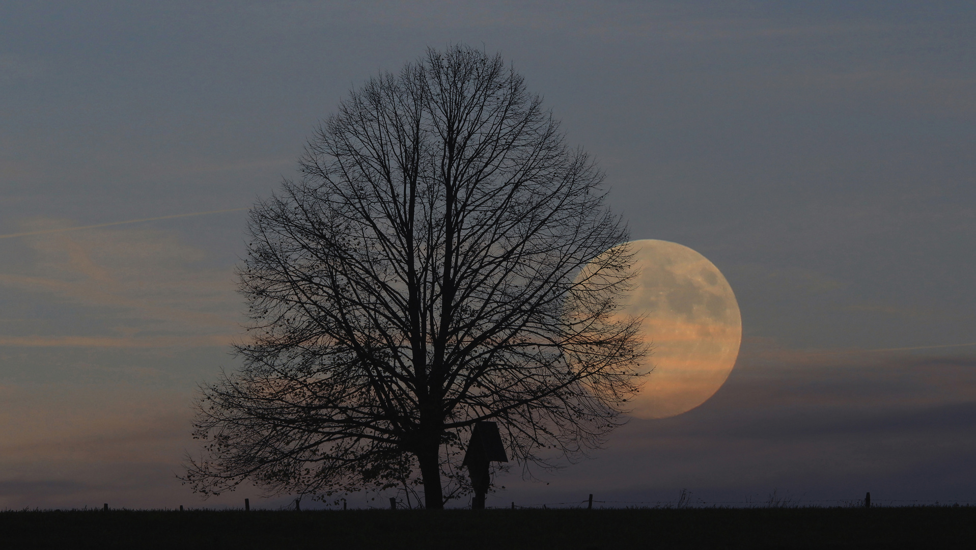 Herbstmond