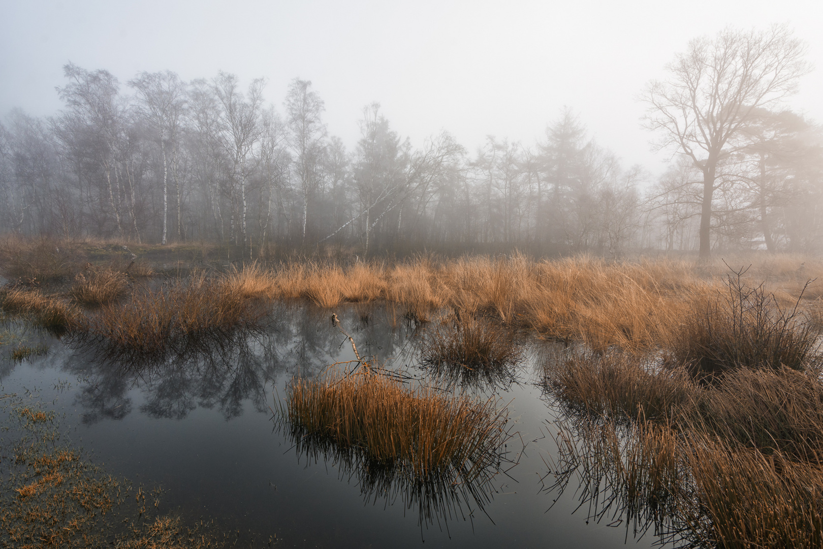 Herbstmoor