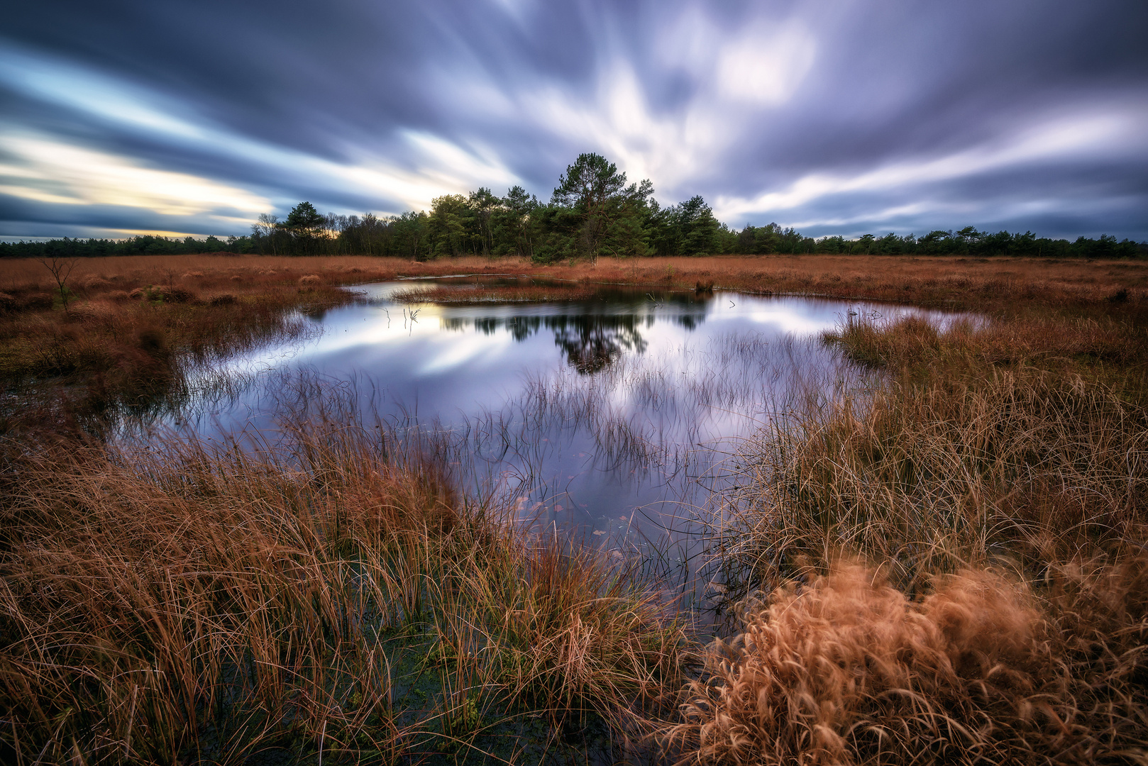 - Herbstmoor -