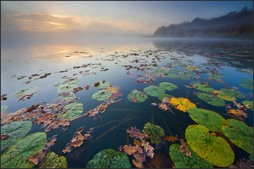 Herbstmoren am See