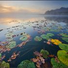 Herbstmoren am See