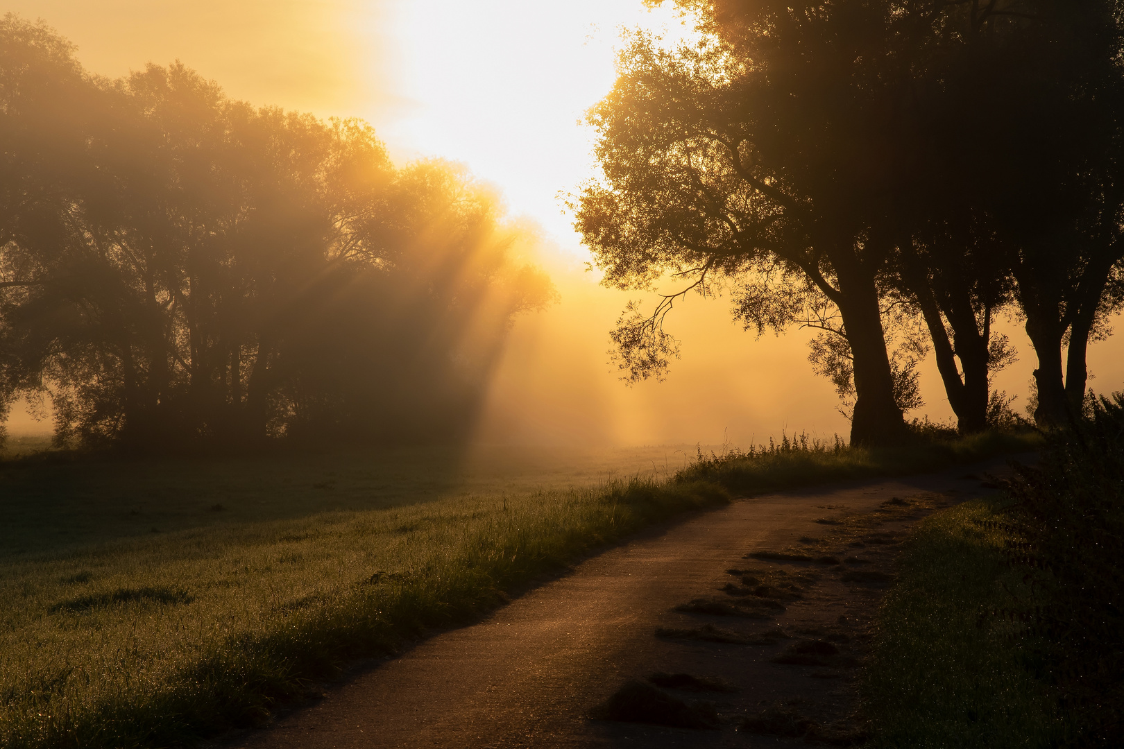 Herbstmorgen