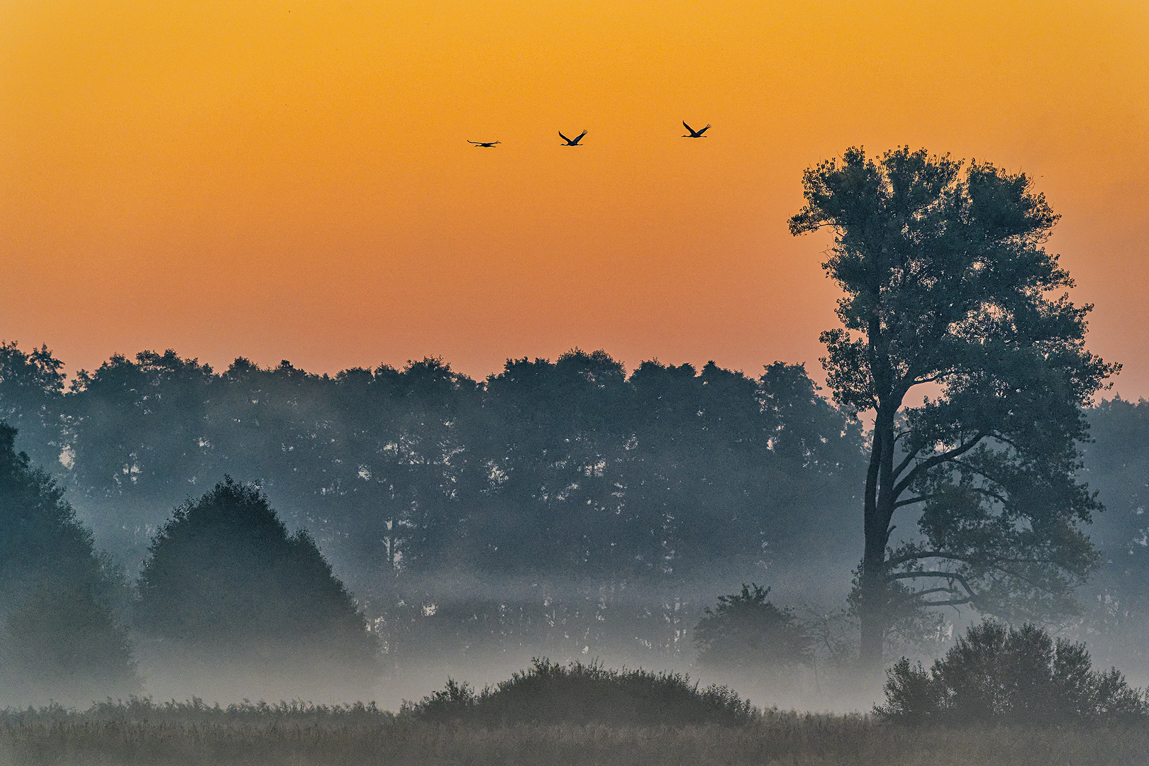 Herbstmorgen