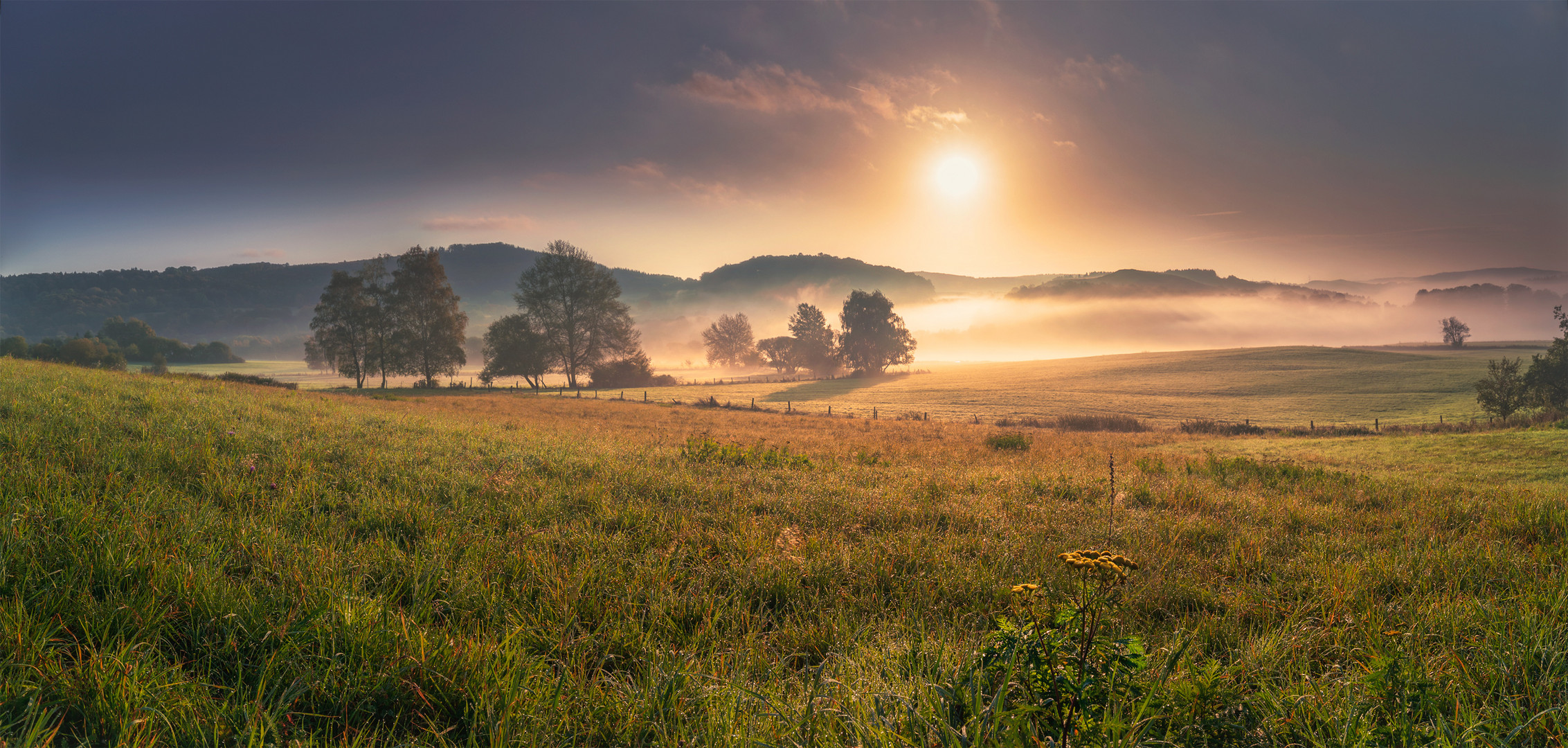 Herbstmorgen