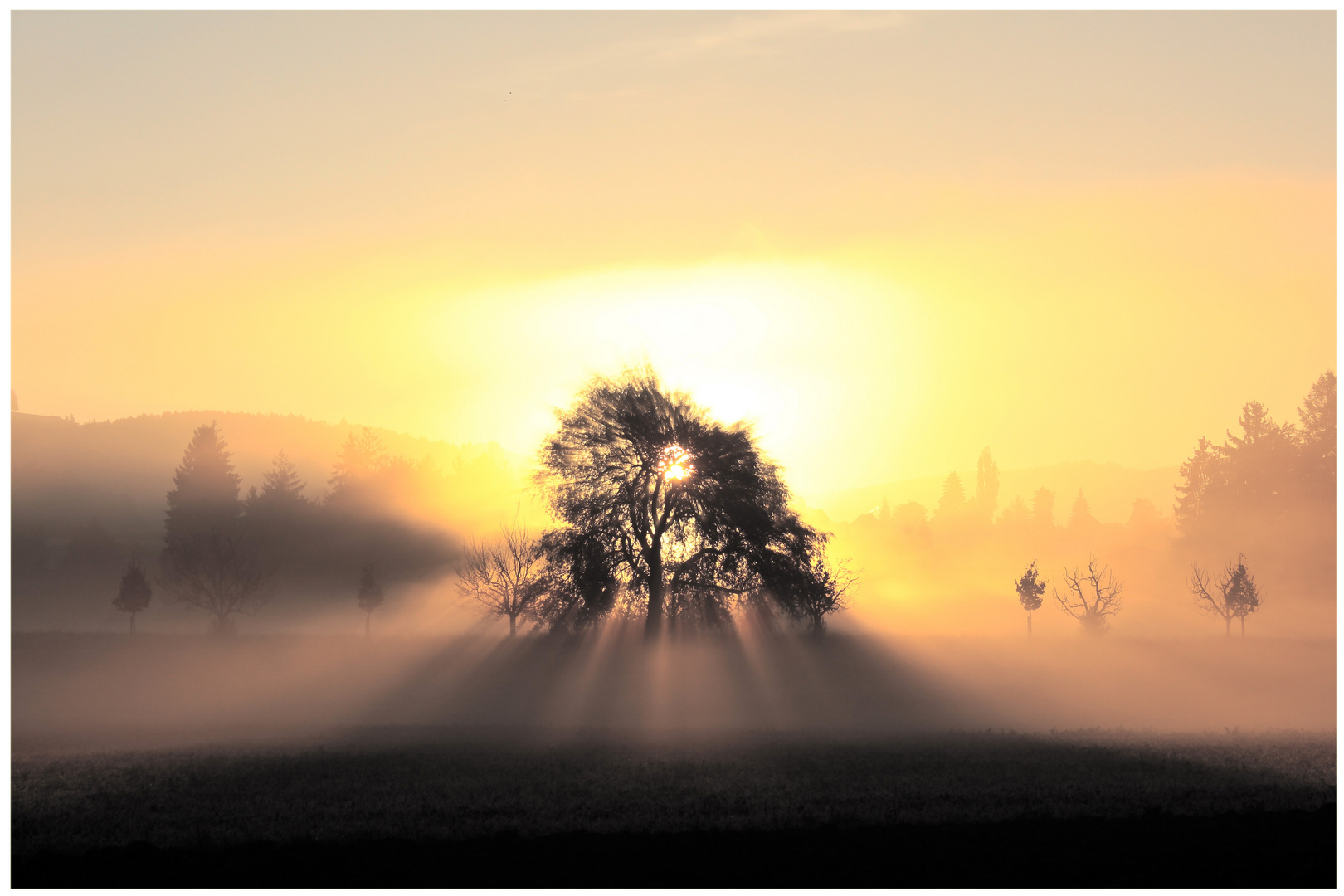 Herbstmorgen