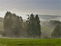 ~ Herbstmorgen ~