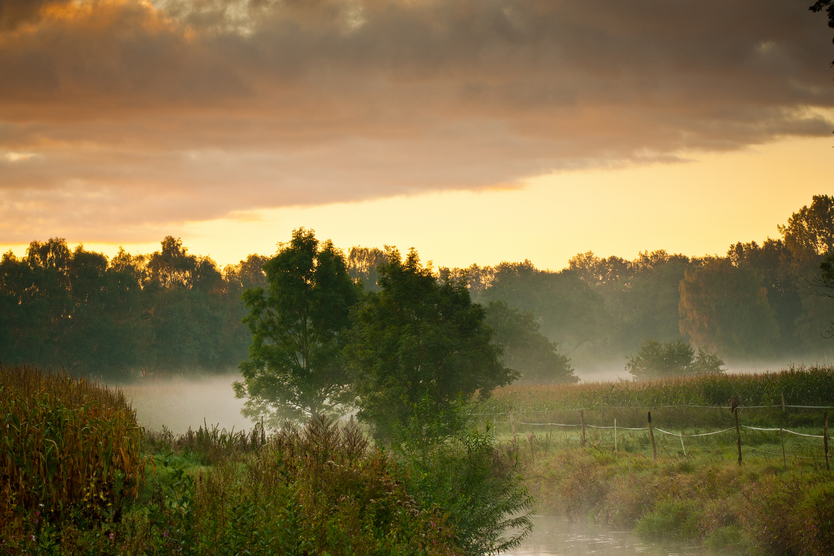 Herbstmorgen