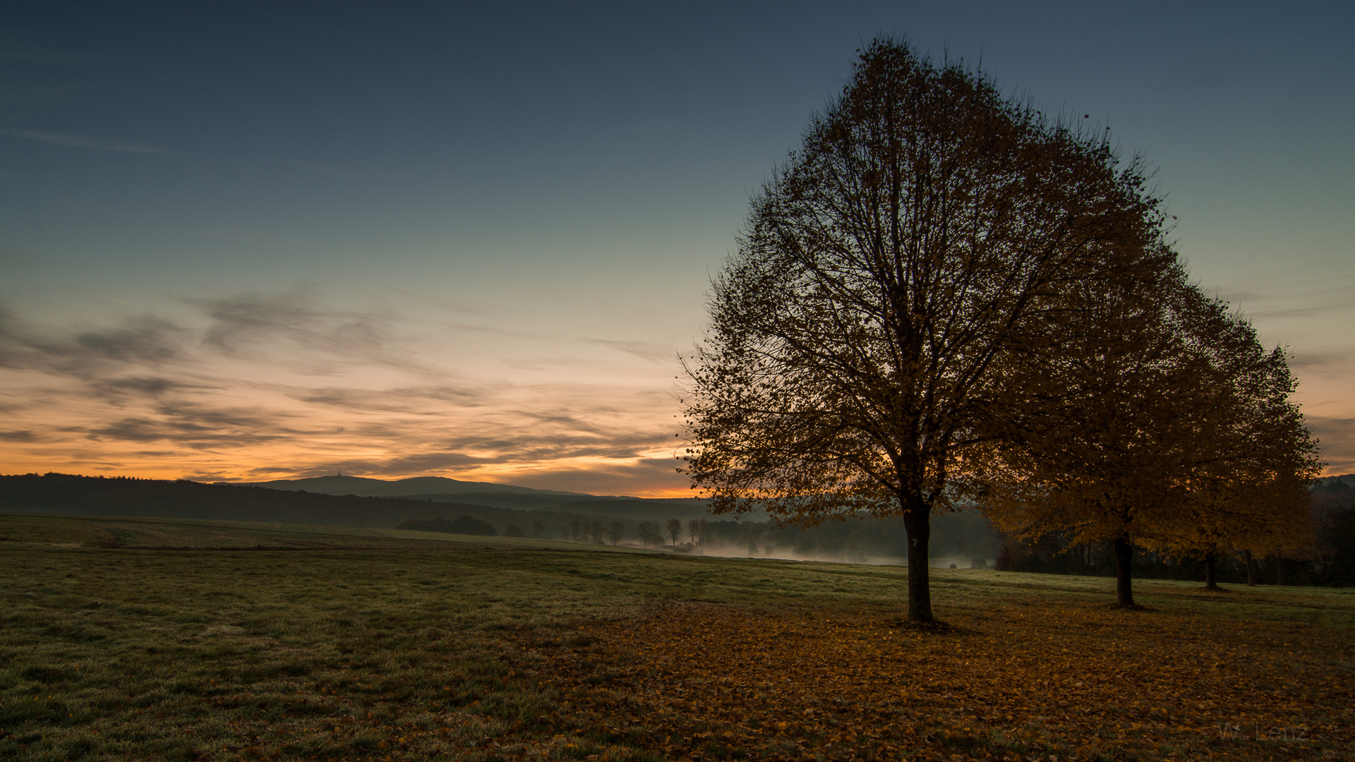 Herbstmorgen